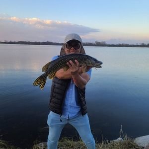 Meet your Posher, Pao